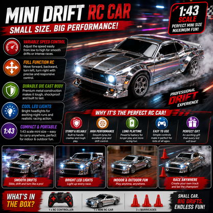 Mini Drift RC Car