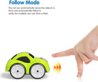 Mini RC Inteligent Stunt Car